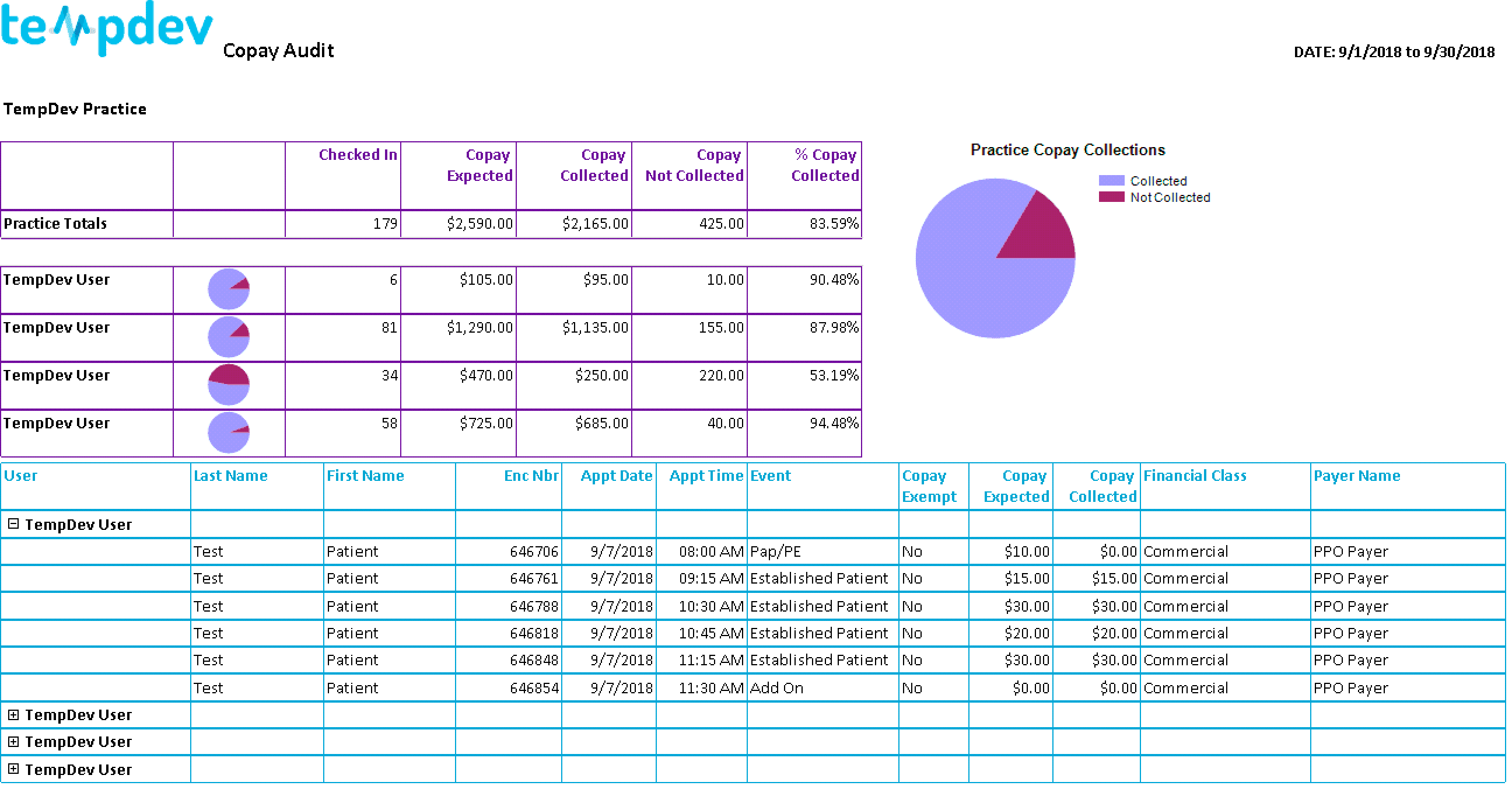 NextGen Copay Audit EPM Report Screenshot